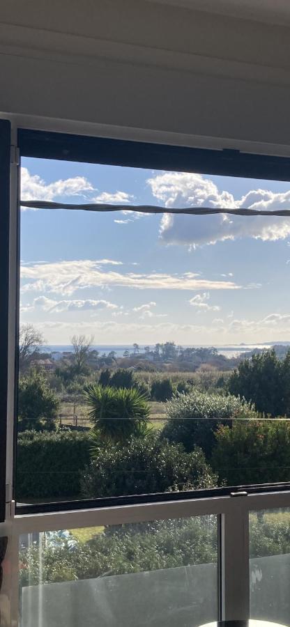 Beach Appartement Palmeira